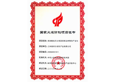 国家火炬计划项目证书