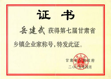 第七届乡镇企业家荣誉称号